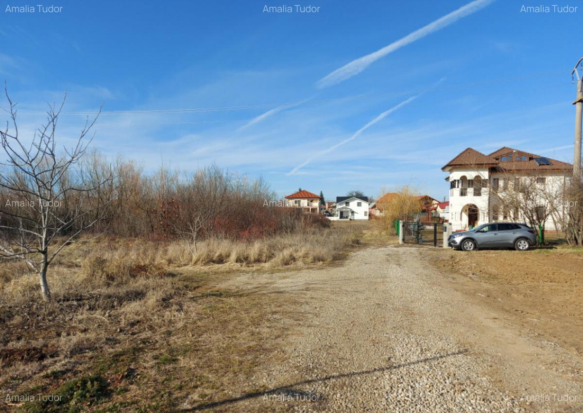 Loc de casa cu utilita?i, 944mp, 29m deschidere, Cioflice - 1