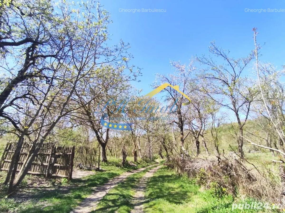 Casa cu teren Gornet-Cricov PH - 5