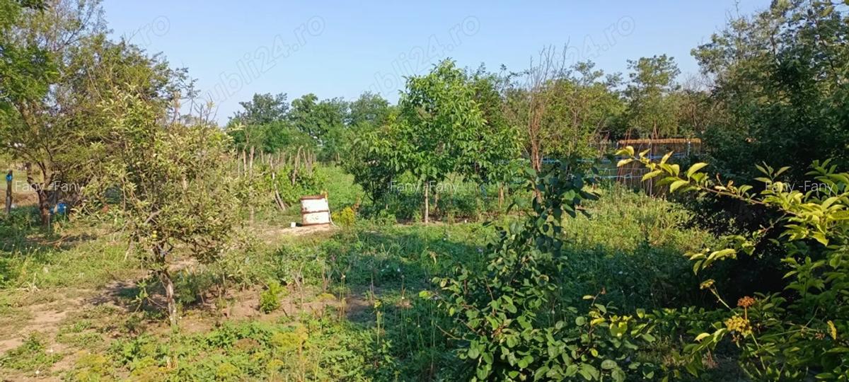 Vand-schimb casa mutare imediat - 3