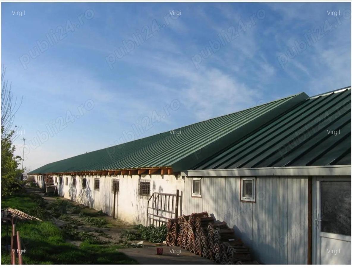 Vand hala multifunctionala Varias - 1