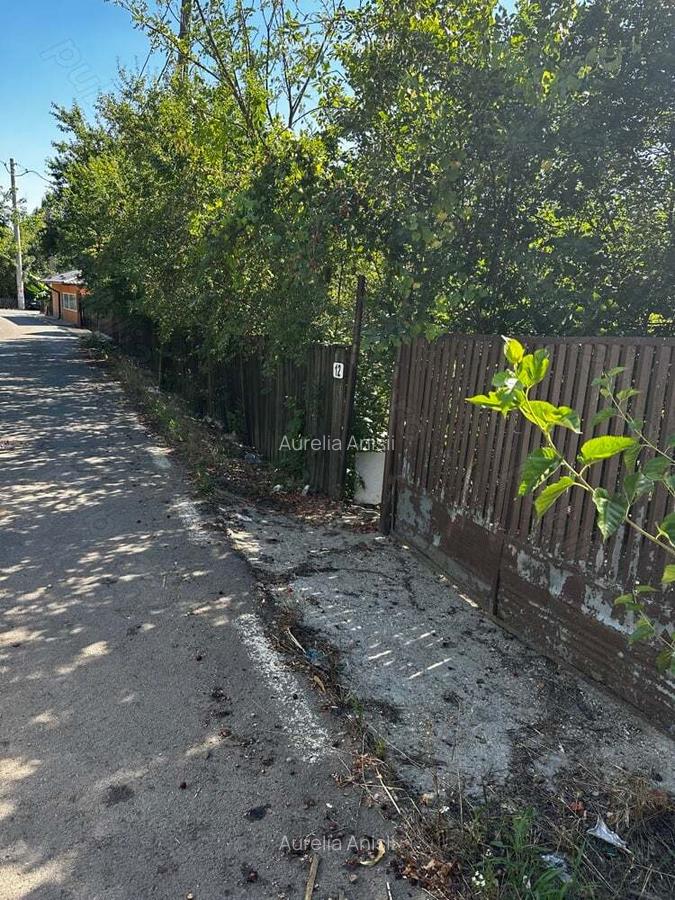 Casa batraneasca - 3