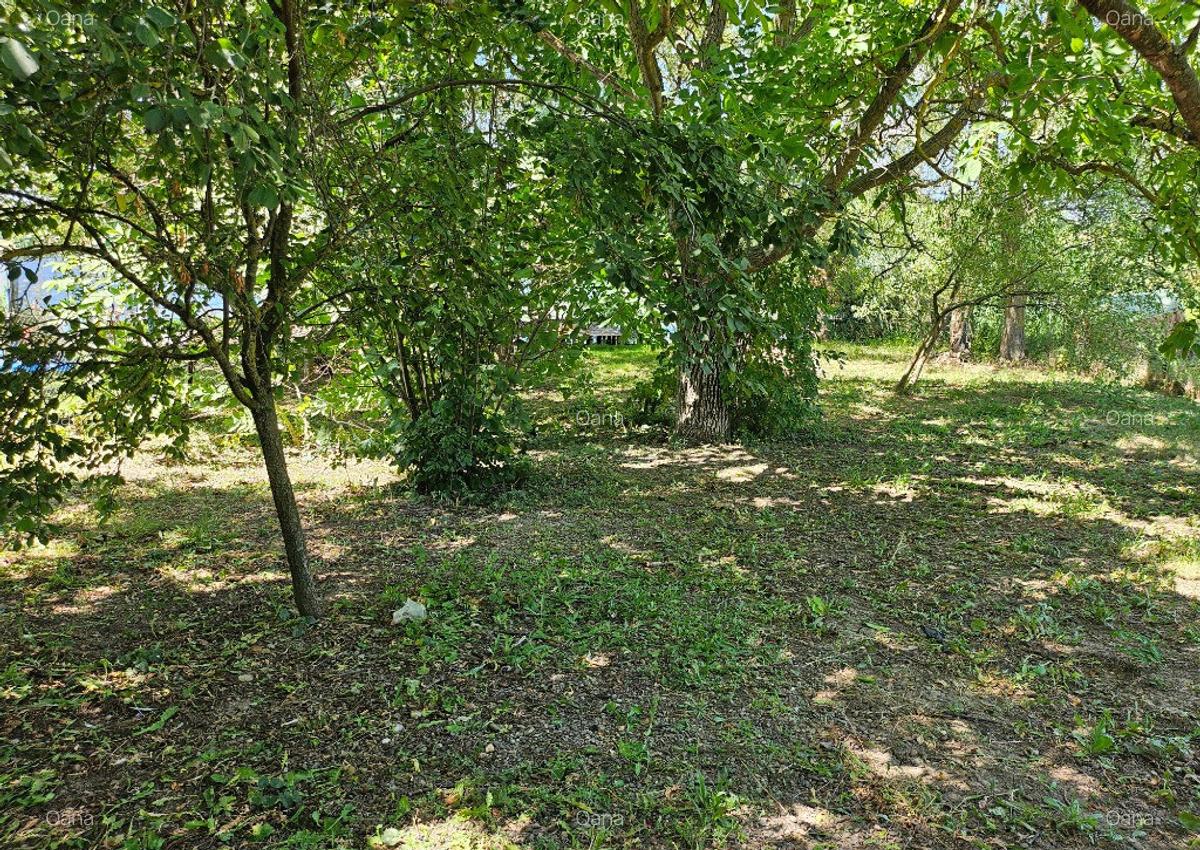 Casa cu teren deschidere directa la lac Corbeanca - 5