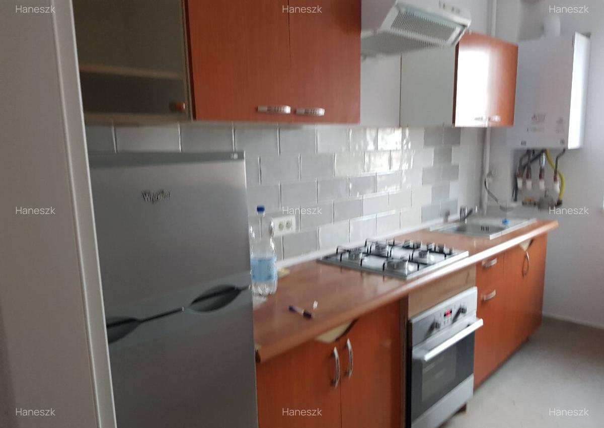 Apartament 2 camere decomandat Calea Buziasului - 5