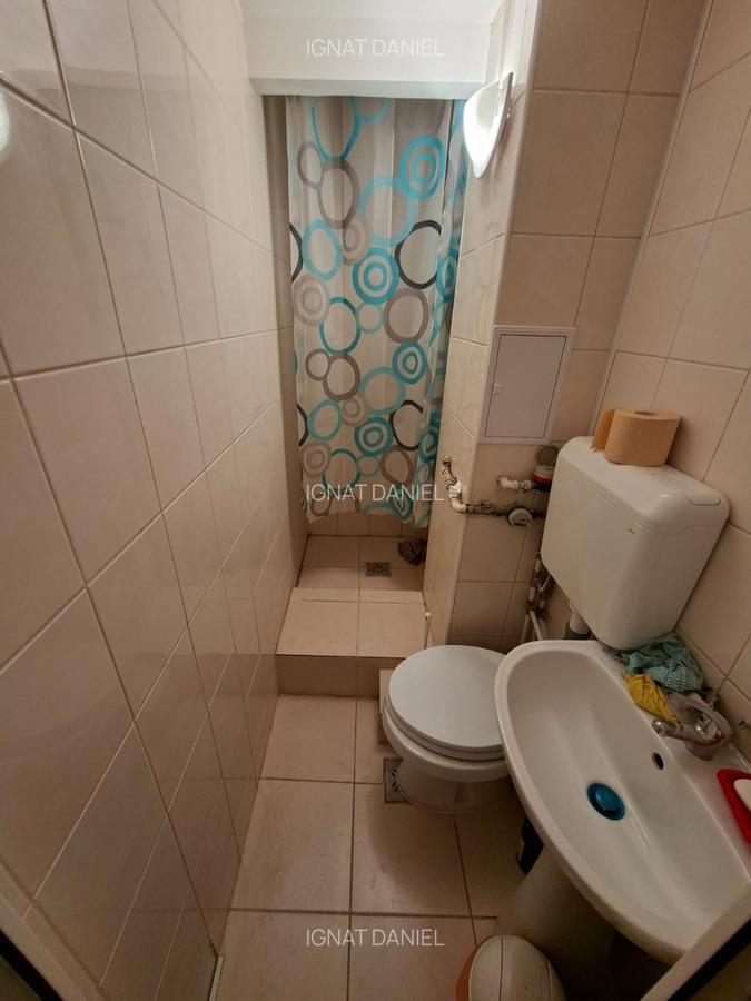 Apartament cu 2 camere, etajul 1/4, PET FRIENDLY, zona Podu Ros - 4