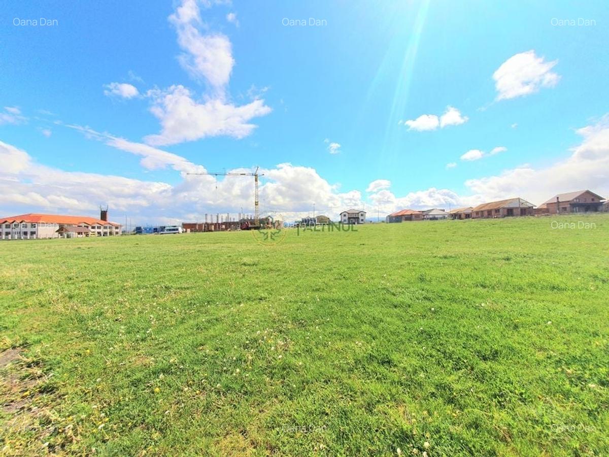 Teren Ideal pentru Investitie - 650 mp, Sura Mica - 1