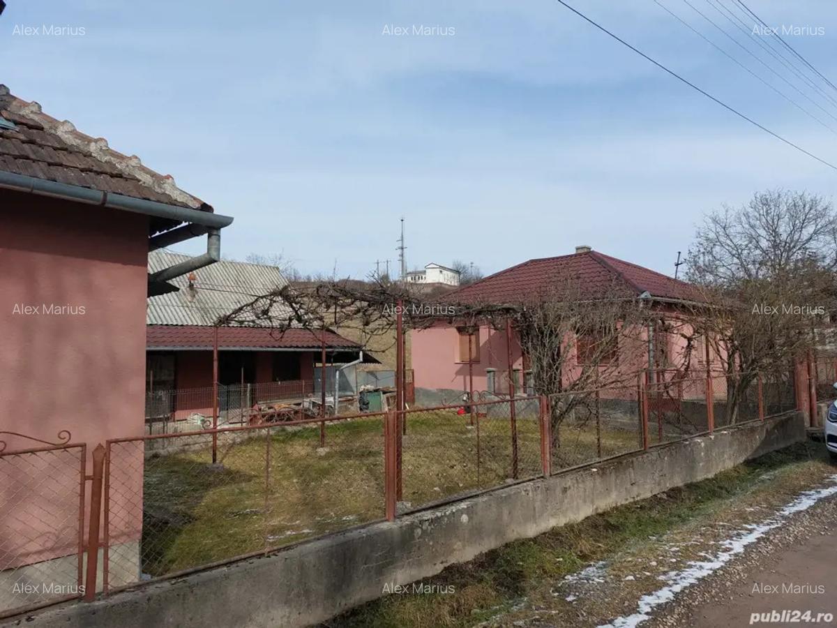 Vand casa in Valea Crisului - 2