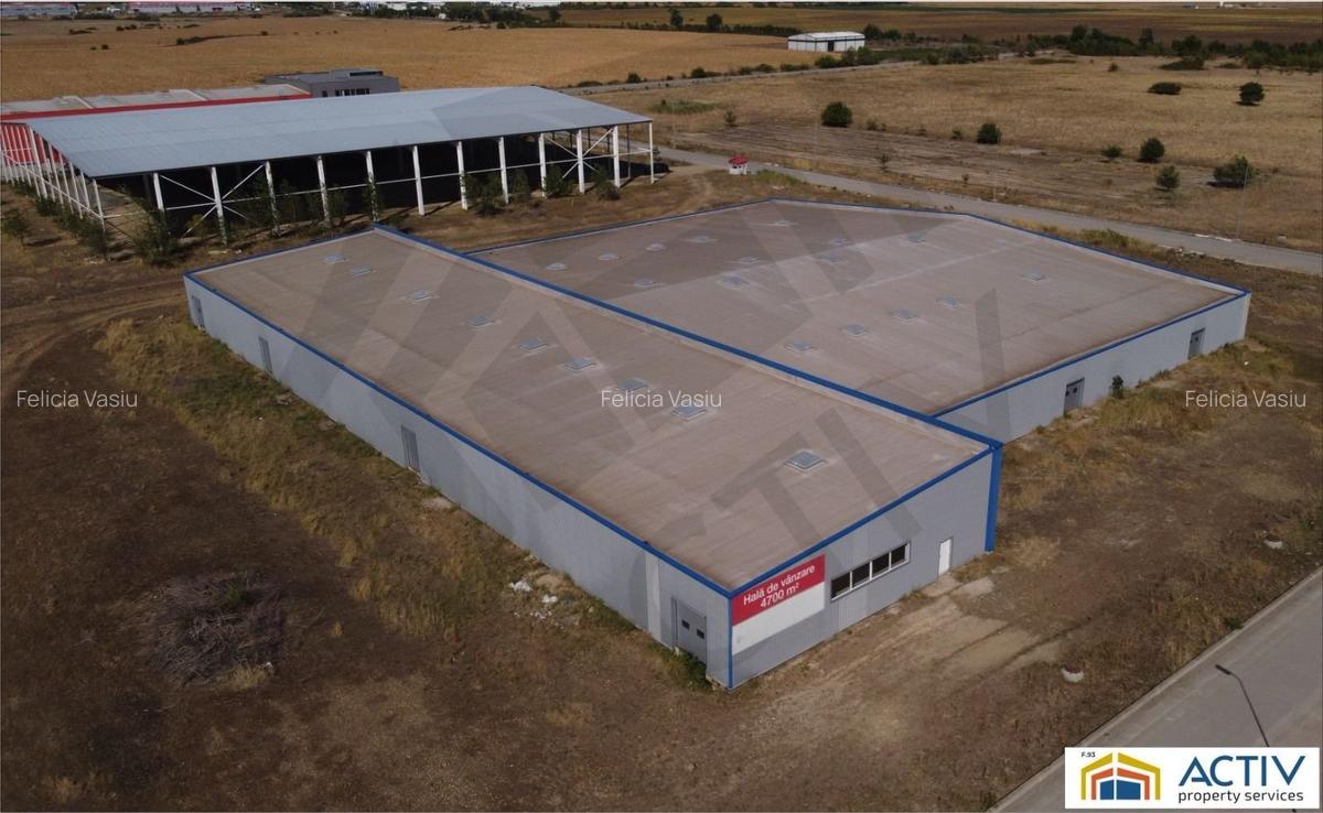 Inchiriere sau vânzare hală Banat Business Park - 2