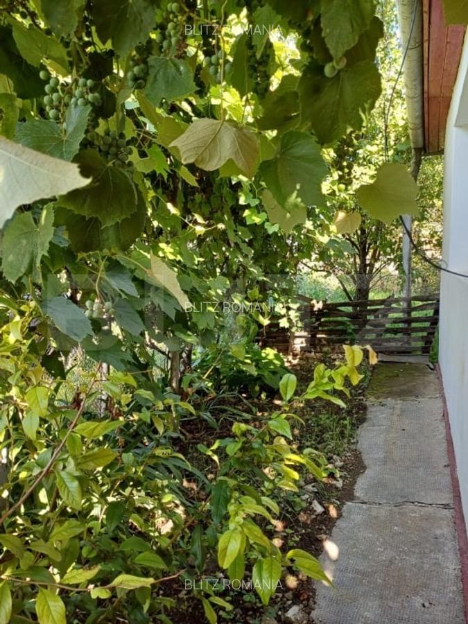 Casa renovabila, 2 camere, zona Cetate - 5