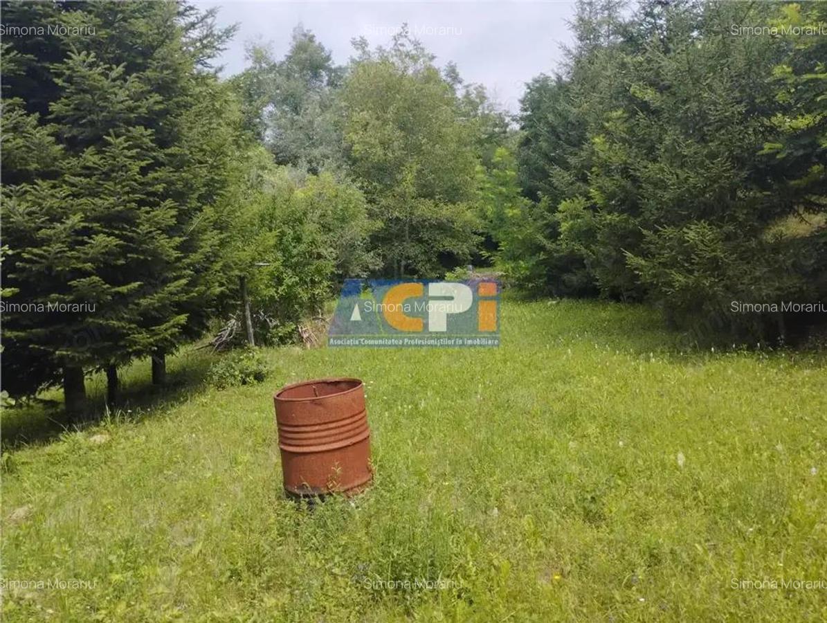 Casa Podis, Margineni - 16