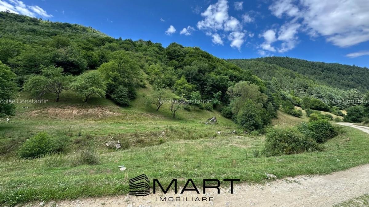 Teren intravilan 8500mp Rasinari - 2