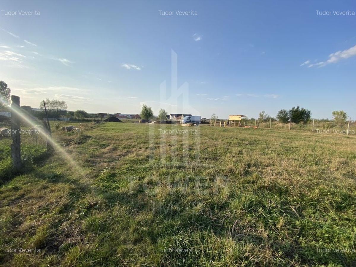 Teren intravilan 604 mp de vânzare - Șura Mică, Sibiu - 1