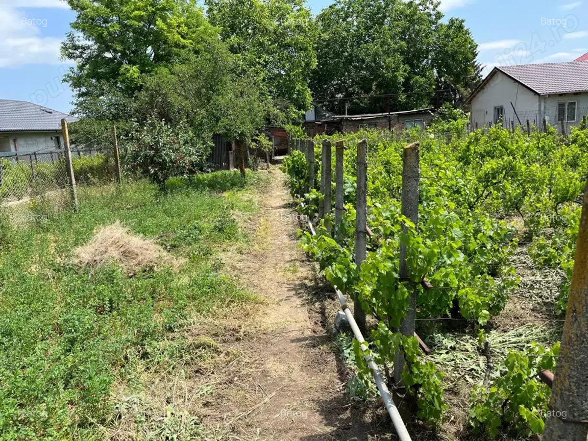 Casa comuna Vanatori, judetul Galati - 5
