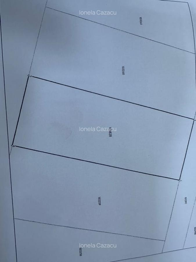 Teren intravilan, 1000 mp, Daia Noua - 1