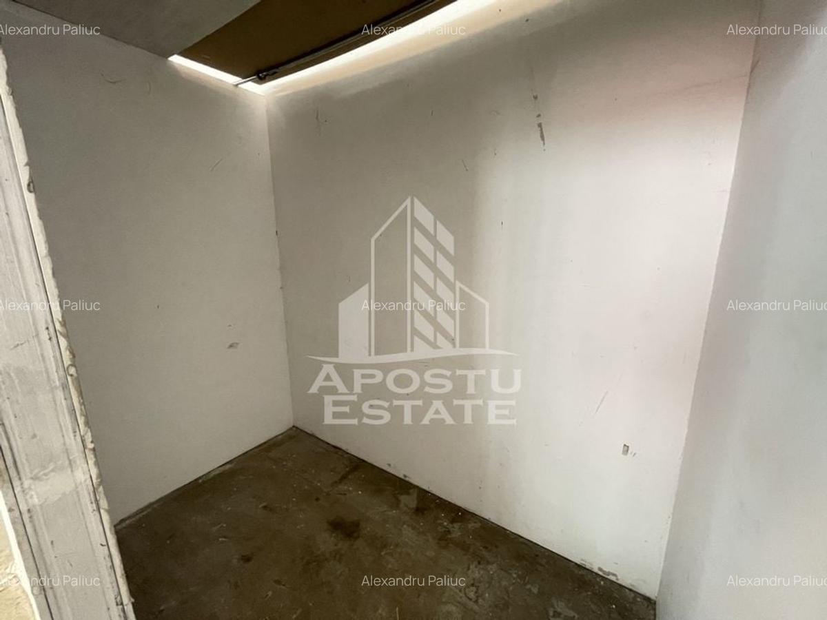 Hala pentru depozitare sau productie, 276 mp, Calea Sagului - 5