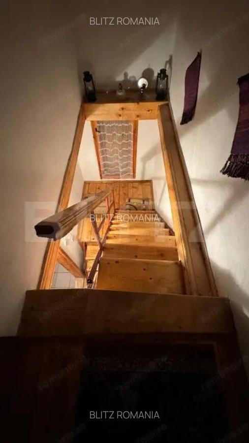 VAND CASA DE VACANTA LA COLIBITA, CU VEDERE SPRE LAC - 19