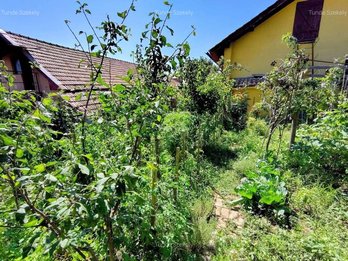Casa unifamiliala 120 mp utili,  cu 477 mp teren, garaj, Dambul Rotund - 23