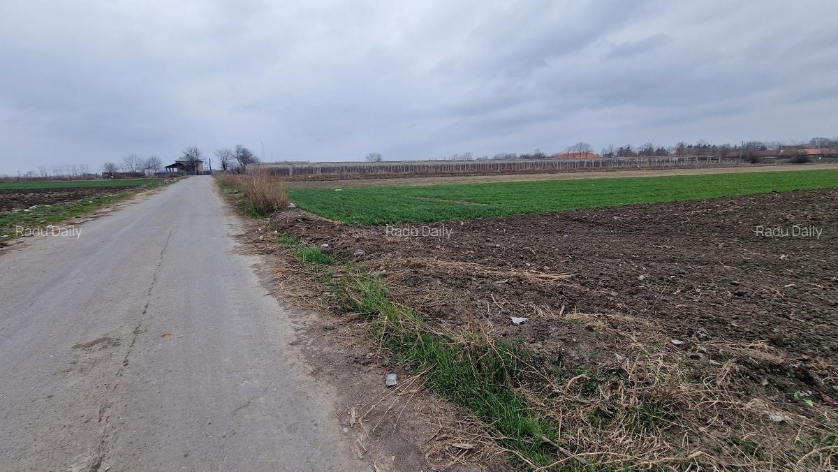 Teren intravilan 5.002 mp, utilități, asfalt, Mizil – 70.000 € (negociabil) - 3