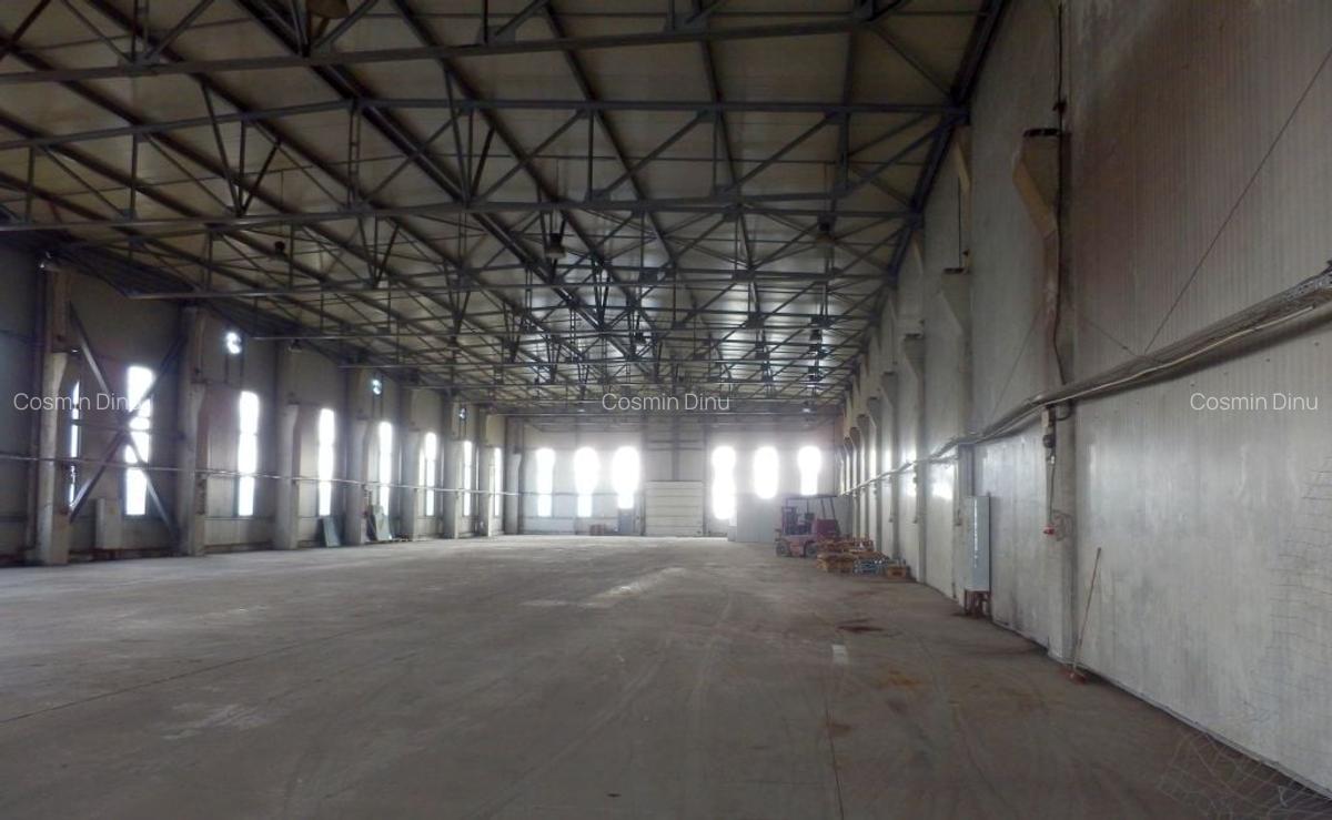 SPATII DE DEPOZITARE SAU PRODUCTIE CU POD RULANT - 6