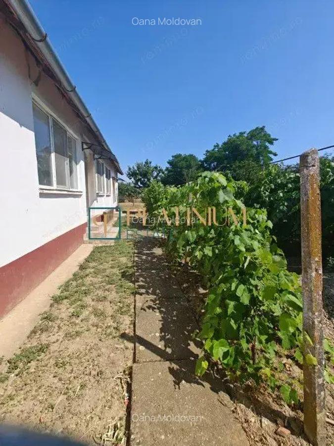 P4536 Casa individuala cu 4 camere DECOMANDATE, in Macedonia, jud.Timi? - 12