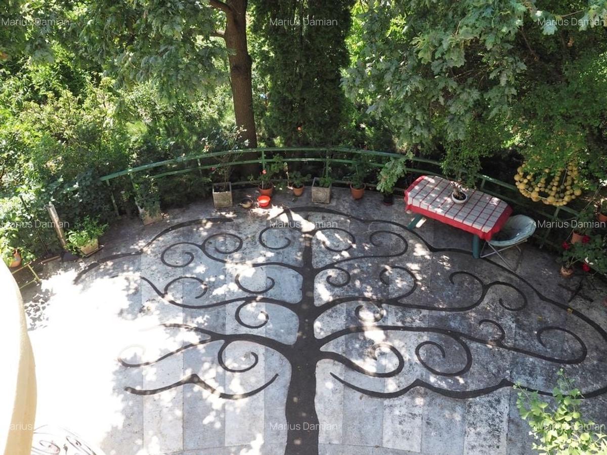 VILA 6 CAMERE SNAGOV IZVORANI LAC -TEREN 1800mp - 9