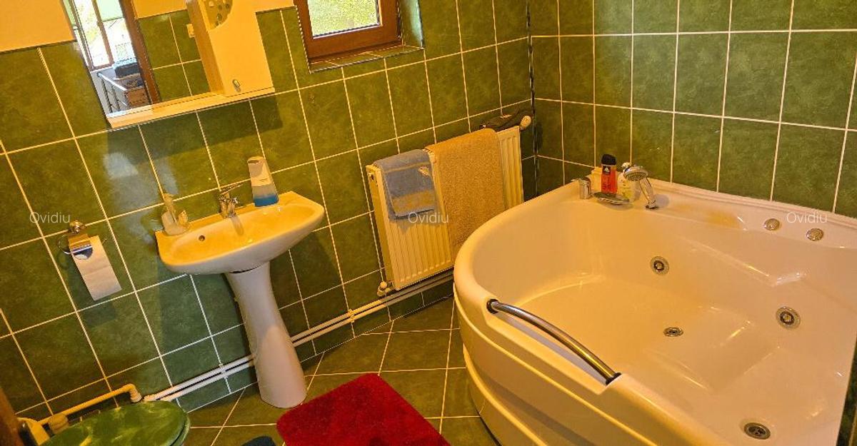 Vand casa in Deva, zona Zavoi, P+E, constructie din BCA si boltari, - 18