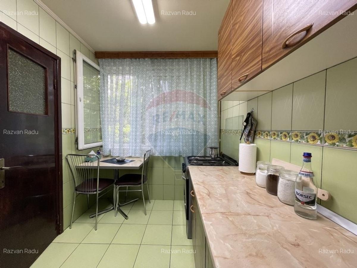 Apartament cu 3 camere decomandat în Camil Ressu - 11