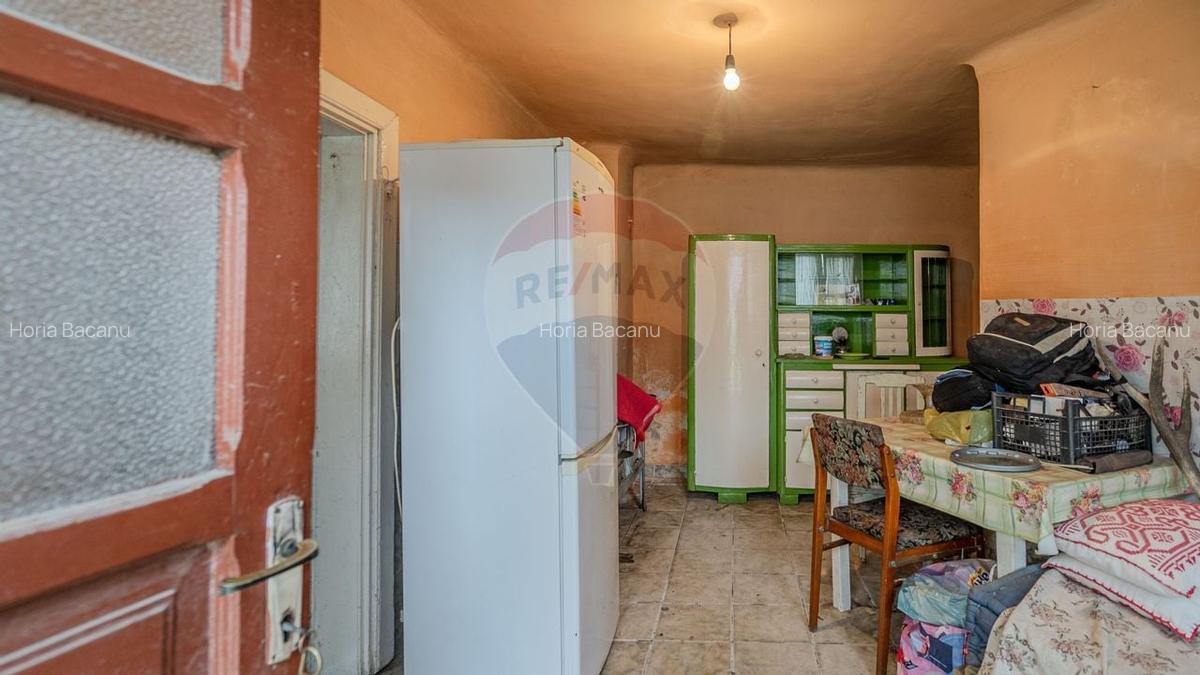 Comision 0 | Casa cu 3 camere, teren 1541 mp, livada, beci si garaj - 19