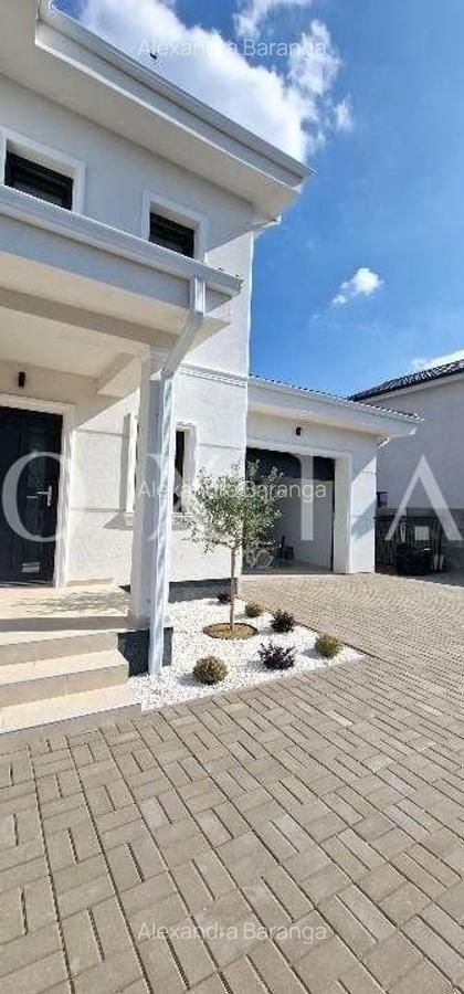 AX1108 Dumbravita, Zona Cora, Casa Individuala Premium - 3
