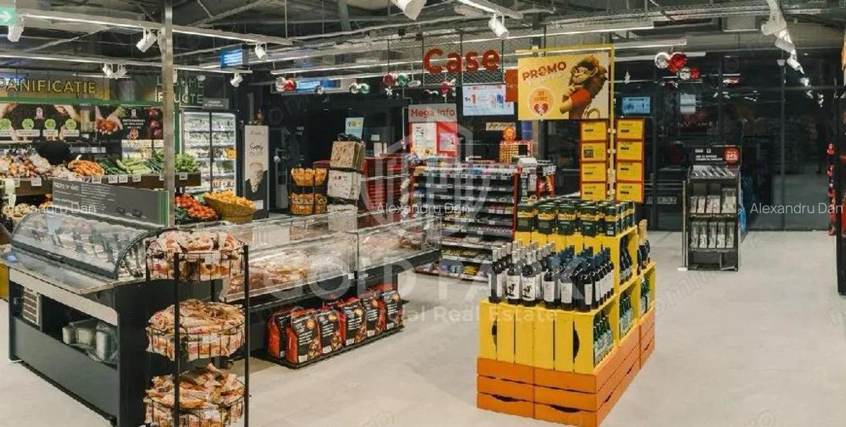 Inchiriere Spatiu Comercial - Oradea - 460 mp/Box Individual - 6