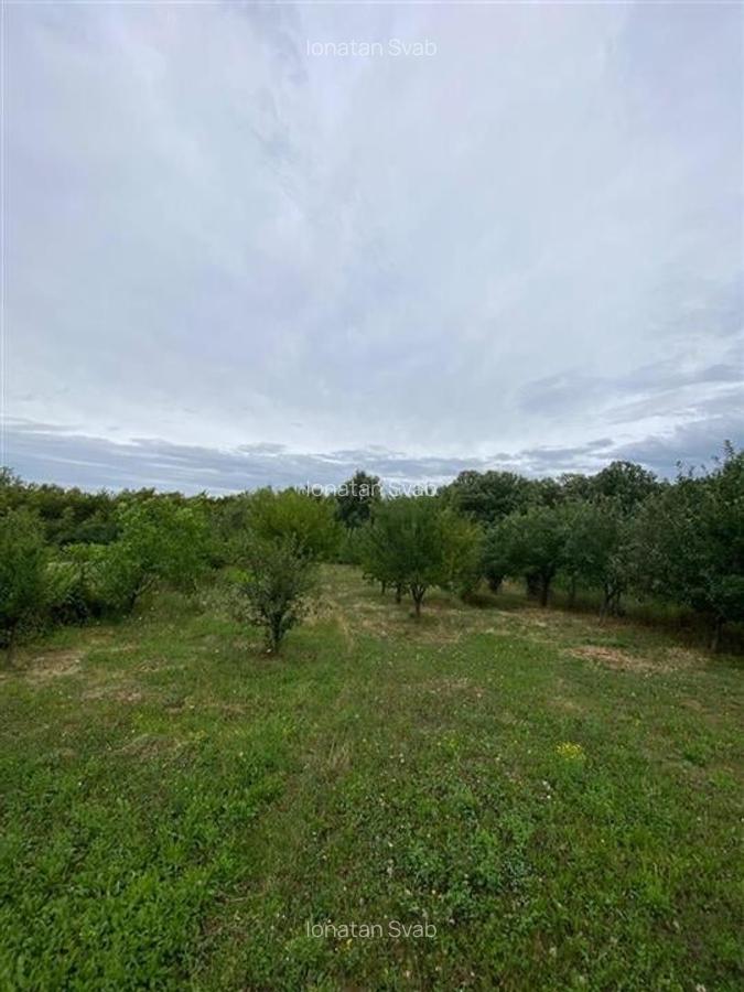 Casă individuală cu 2 camere în Hidișelu de Sus - 8
