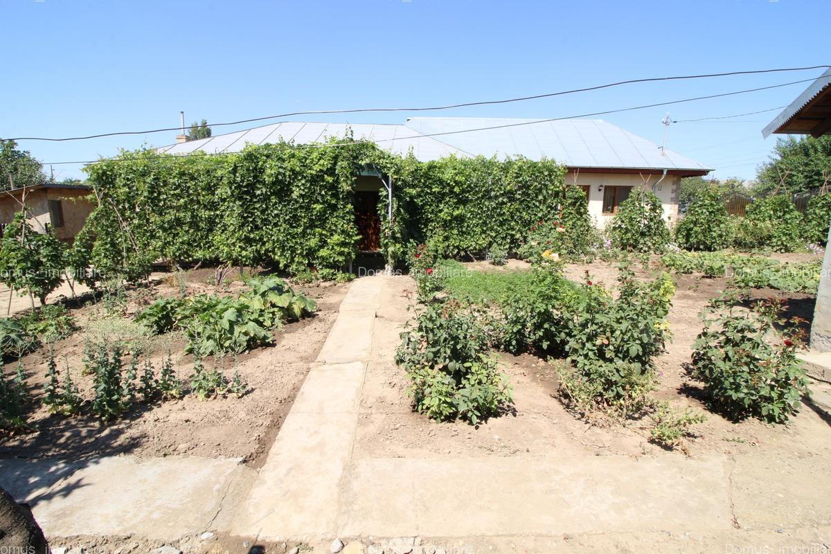 Vand casa renovata sat.Vasile Alecsandri -73.000 euro - 1