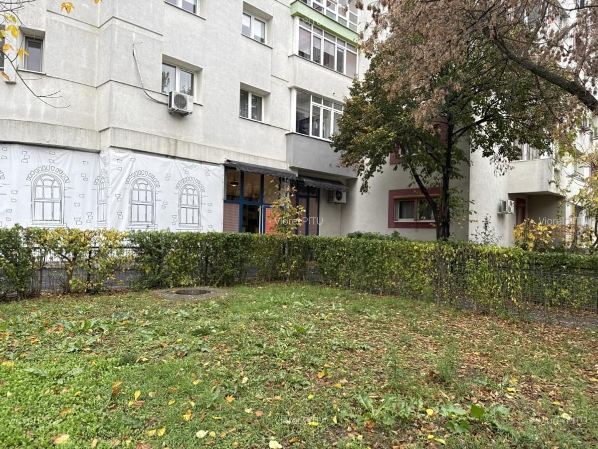 Spatiu Aviatiei - Caramfil / De inchiriat - 15