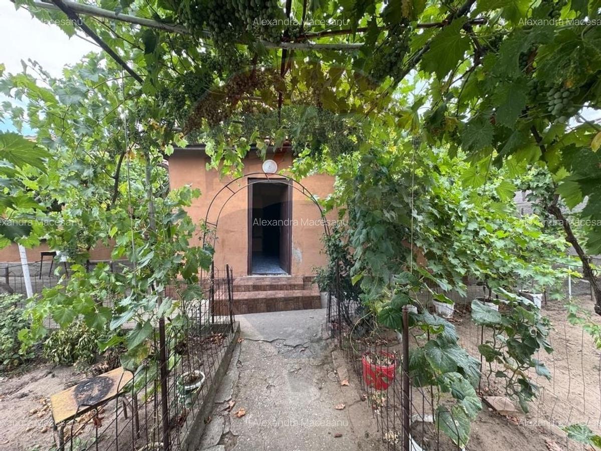 Casa / Vila cu 4 camere de vanzare in zona Brestei - 3