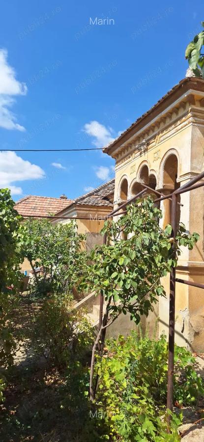 Vand casa in Ciupercenii Noi,judetul Dolj - 8