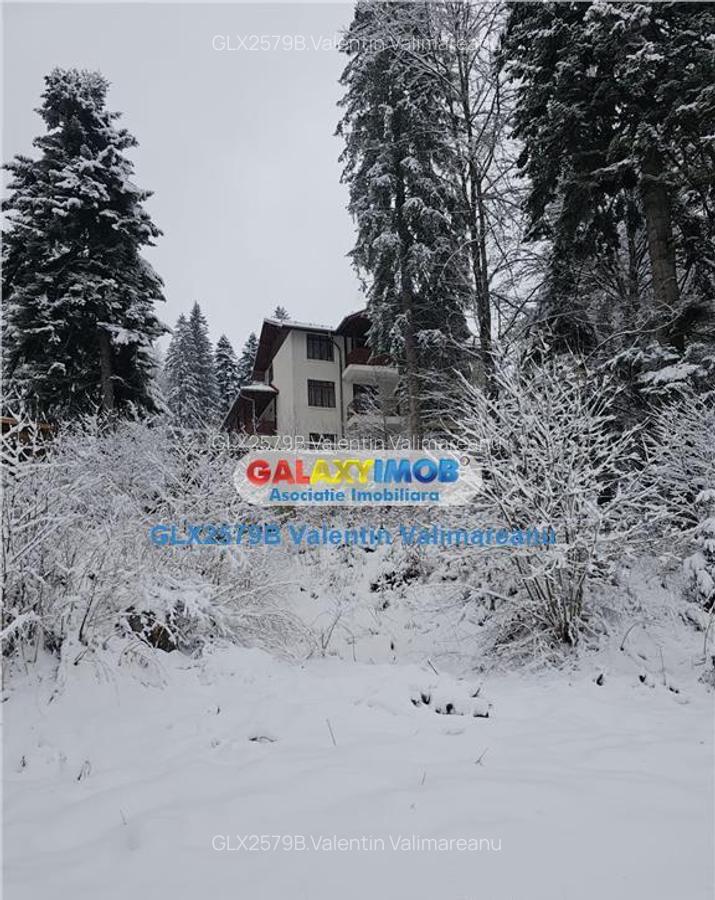 Pensiune Predeal VI 084 - 1