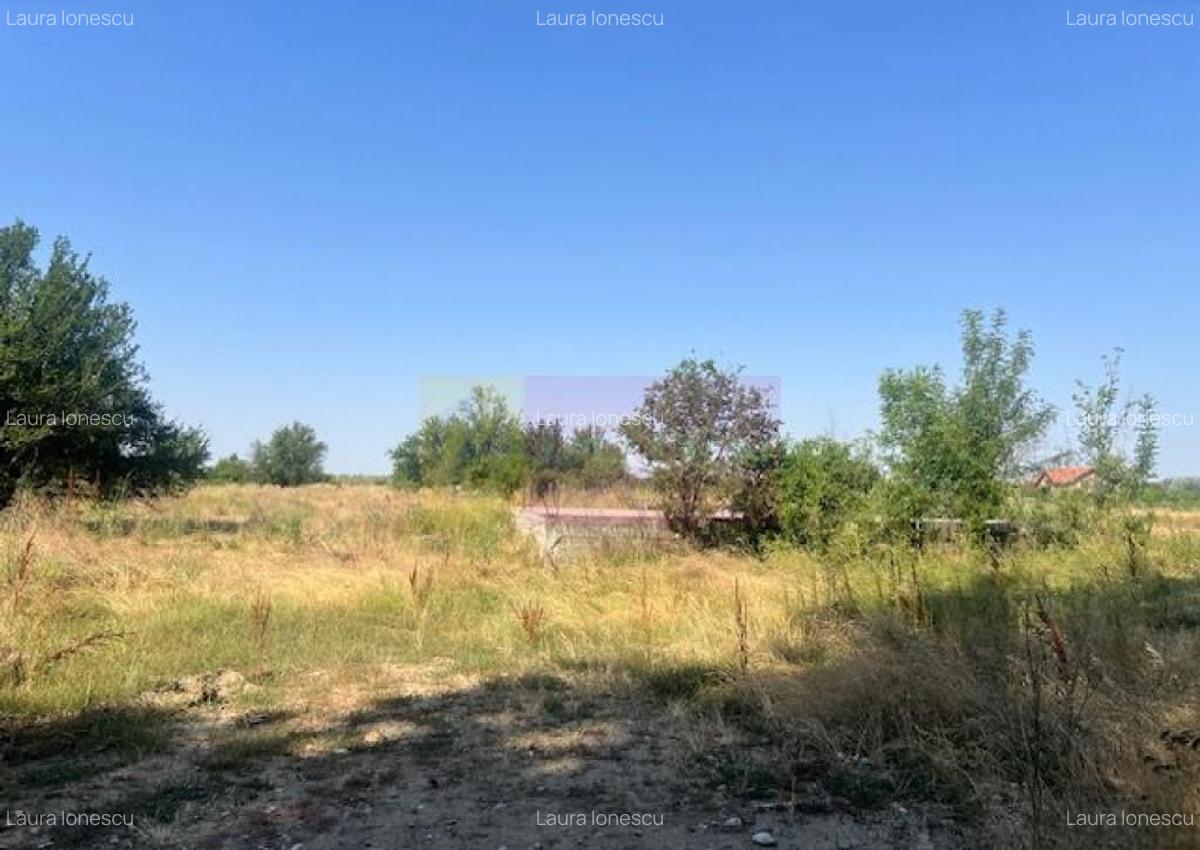 Teren Clinceni- Ordoreanu- langa Dig. - 1