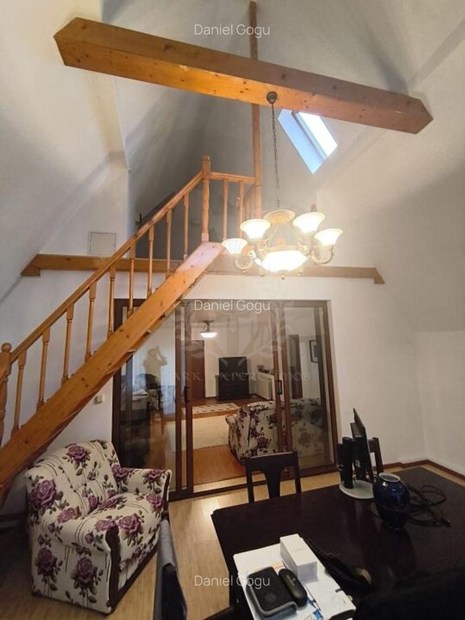 VILA CARTIER ALBERT//SUPRAFATA TEREN 3800MP//BULEVARDUL REPUBLICII - 19