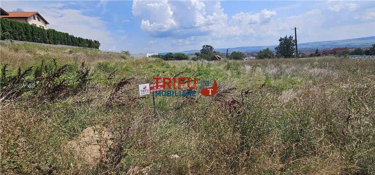 Teren cu utilitati de vanzare, 1076 mp teren, Zona Cetate - 1