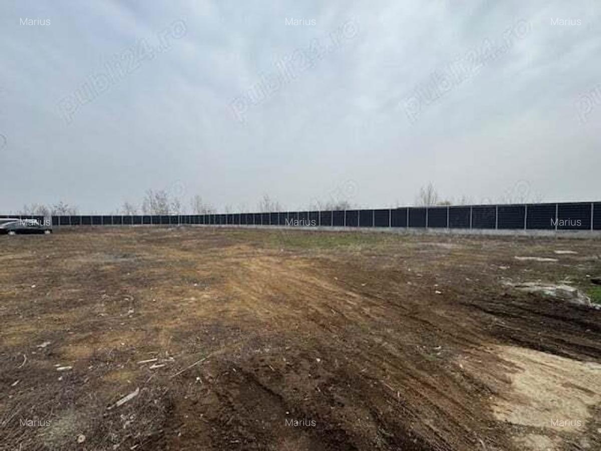 Teren intravilan Chitila , Ilfov - 4