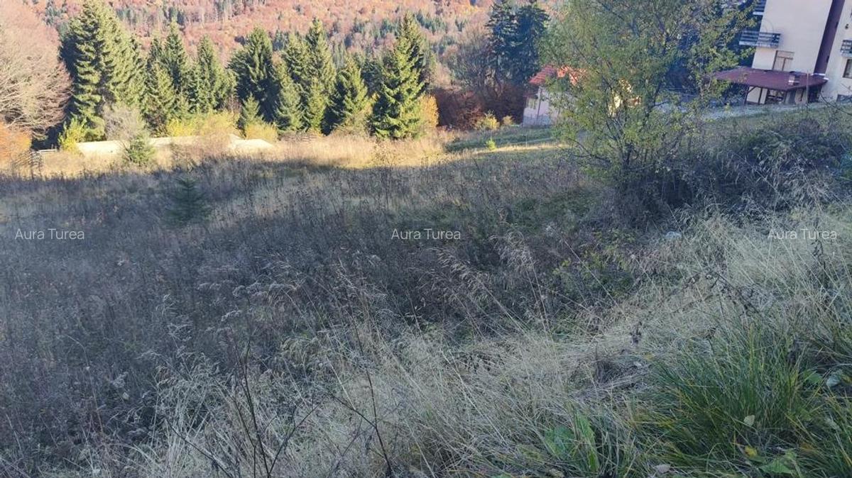 Teren intravilan -Predeal-Paraul Rece - 7