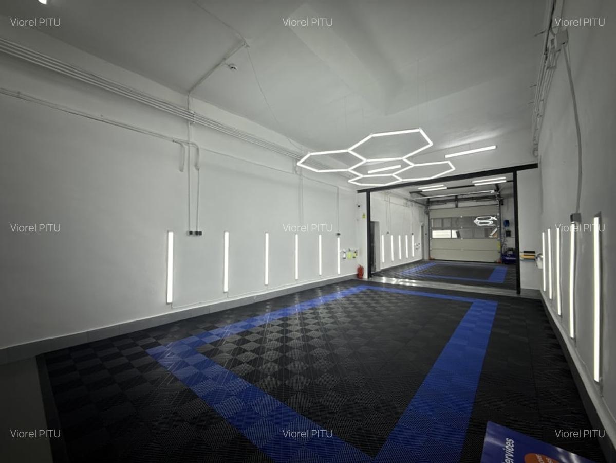 Hala Damaroaia + Curte / De Inchiriat - 4