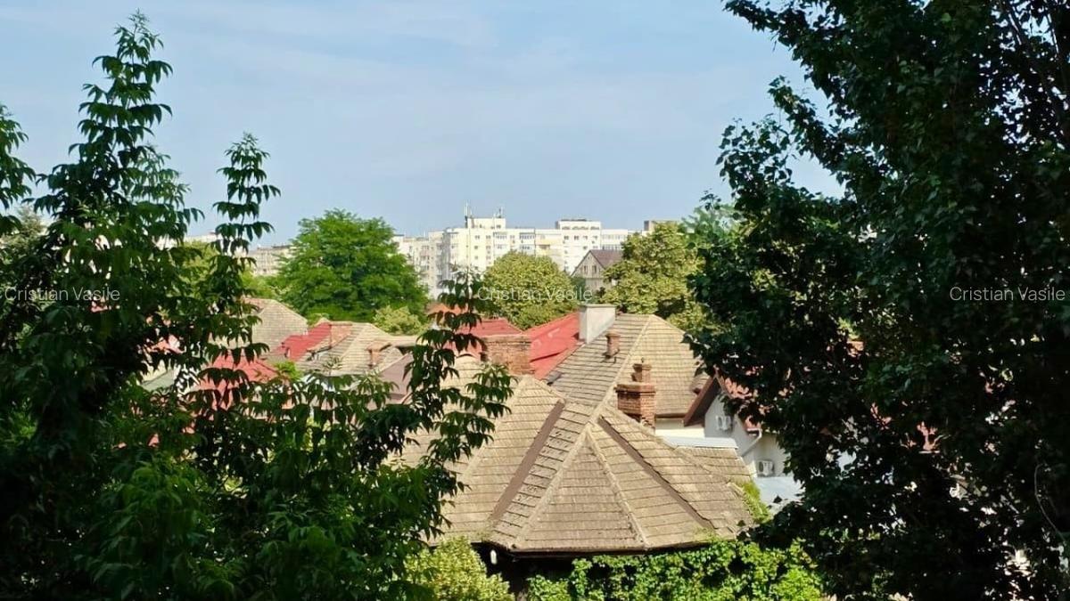 REA1024080 Oportunitate I Apartament 3 camere I De vanzare I Parcul Circului - 15