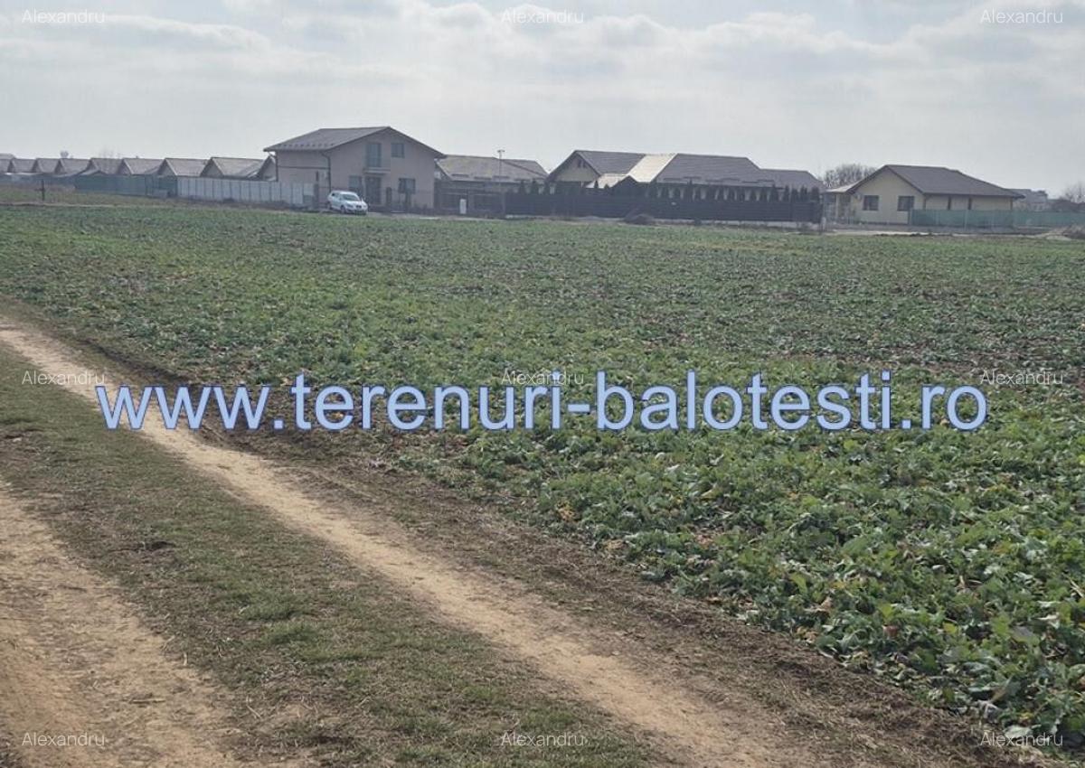 Teren intravilan Balotesti,langa ansamblul Terra si padure, 17000 euro - 9