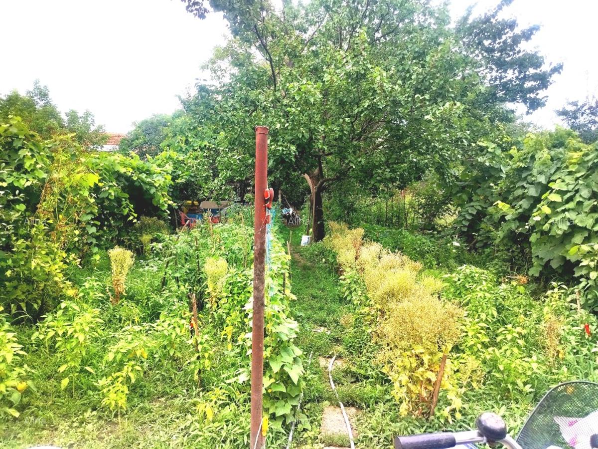 Casă de vânzare în Aradul Nou - 3