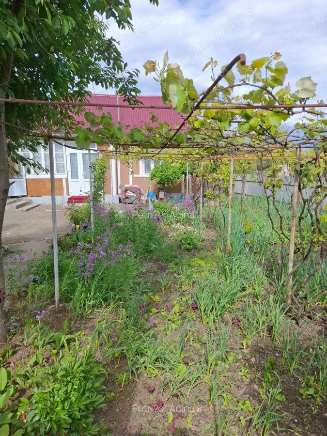 Vand Casa + Teren 700 mp in Lunca Pa?cani - 3