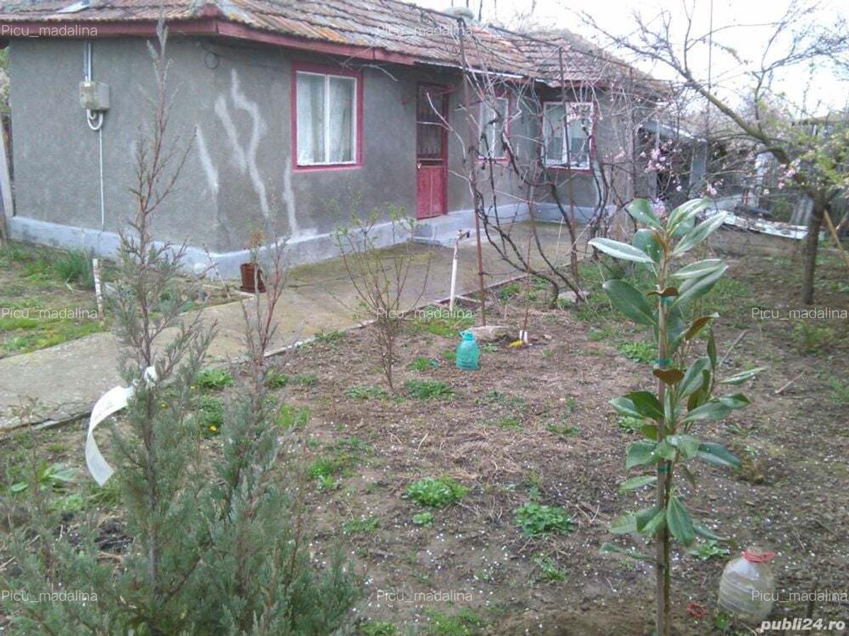 Vand casa la 38 km de aeroportul Otopeni - 10