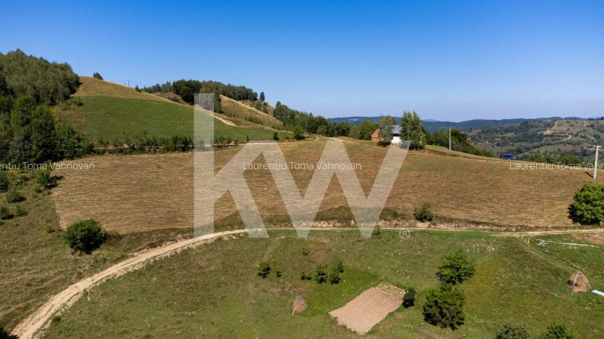 Teren 16469 mp extravilan arabil  Poiana Marului zona Vulcanita - 2