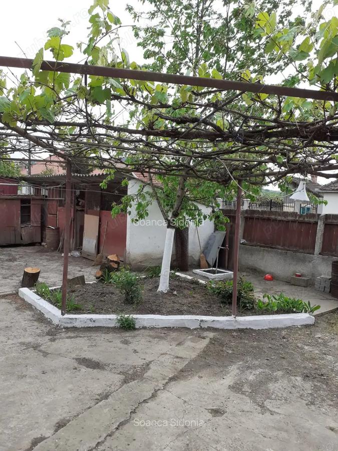 Vand casa Ocna Mures - 3