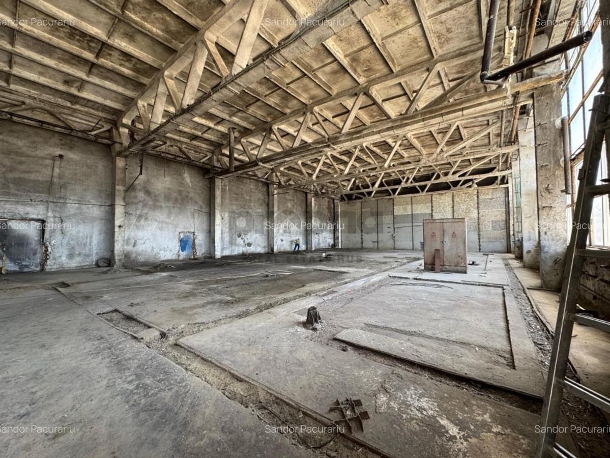 Spațiu industrial, 240 mp în Sud - 10