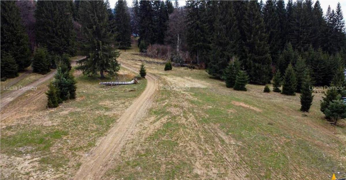 FILM! 1.000 mp,PUZ,regim P 2 M,destinatii turistice rezident - 9